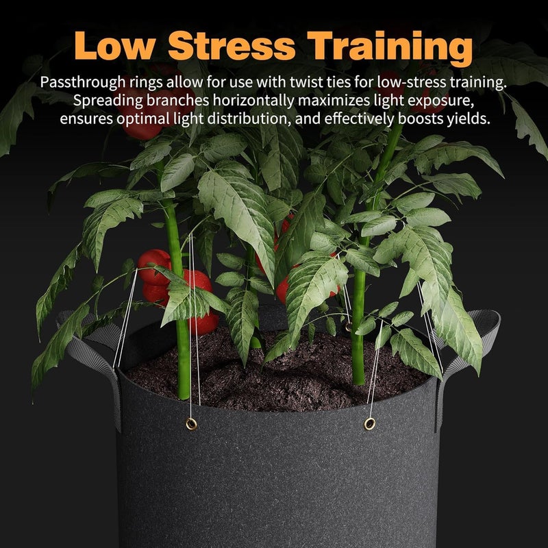 Patigrow Store أكياس زراعة ذاتية السقي، عبوة 5 قطع سعة 3 جالون، أوعية قماش غير منسوج بسماكة 420 جرام مع مقابض معززة وحلقات متعددة الاستخدامات، لتدريب النباتات بضغط منخفض على الفواكه والخضروات والزهور - Image 4